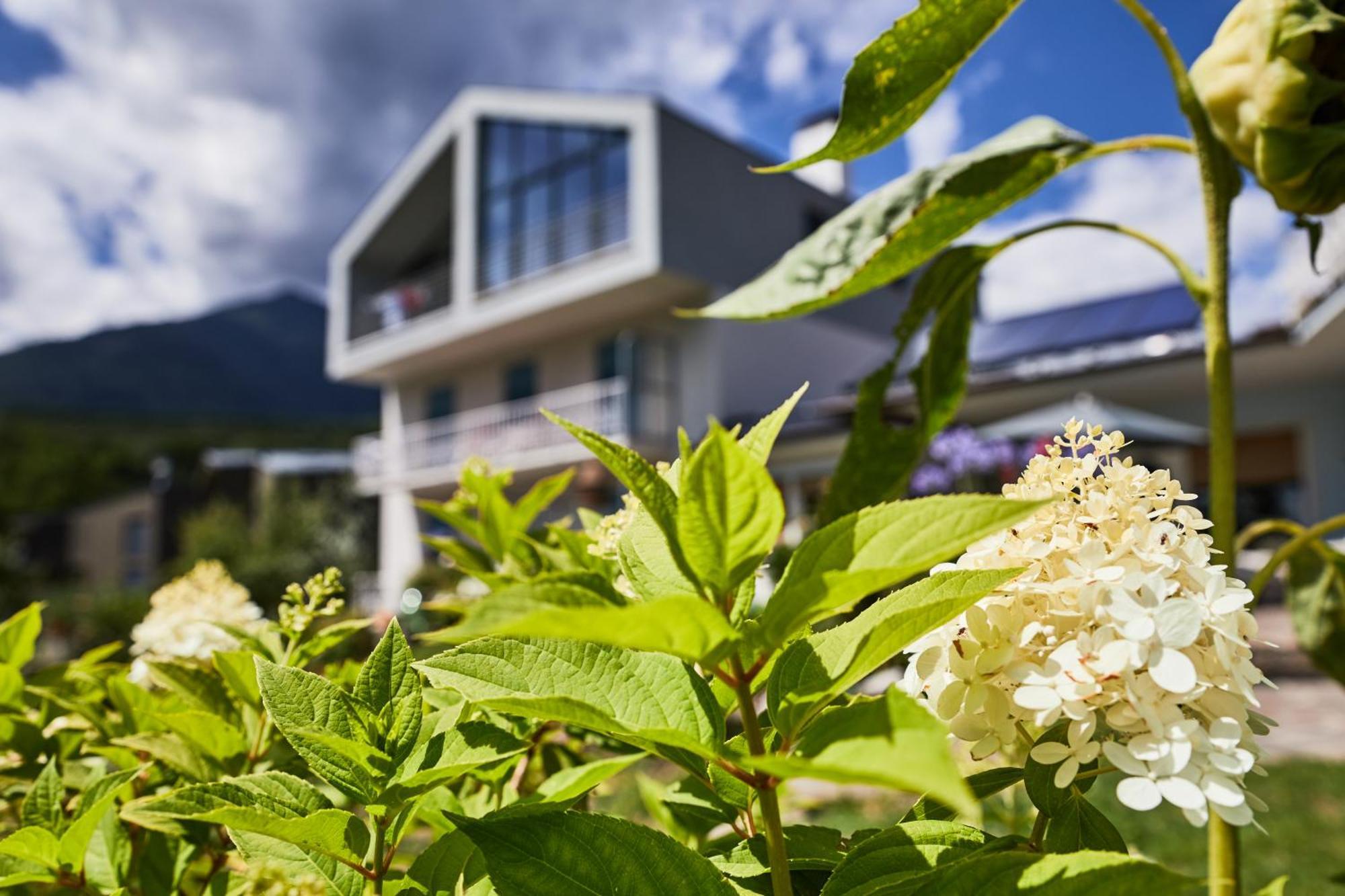 Apartmenthaus Haringer Novacella Exteriér fotografie